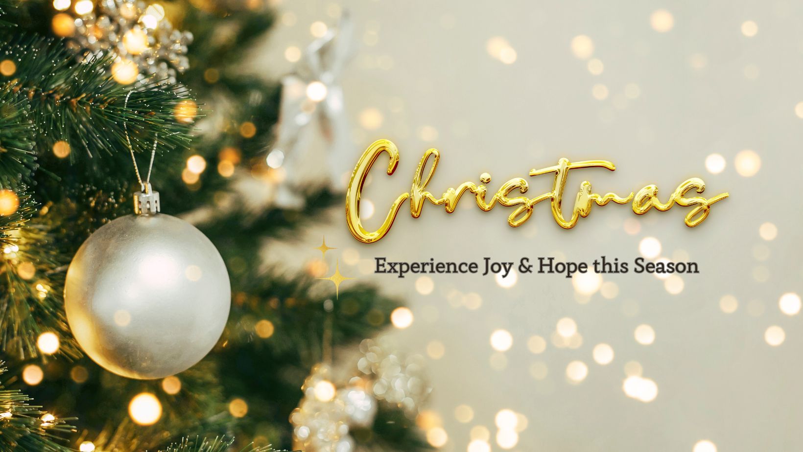 Christmas at MPC

We invite you to share in the JOY & HOPE of the season. MPC offers several events throughout the holiday season. We can't wait to celebrate with you! 
